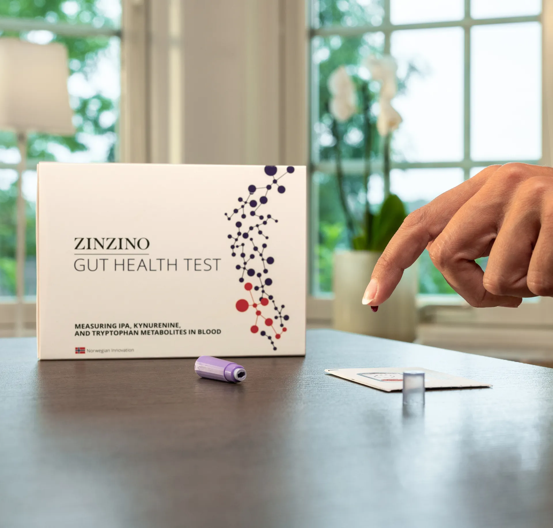 Zinzino Gut Health Test