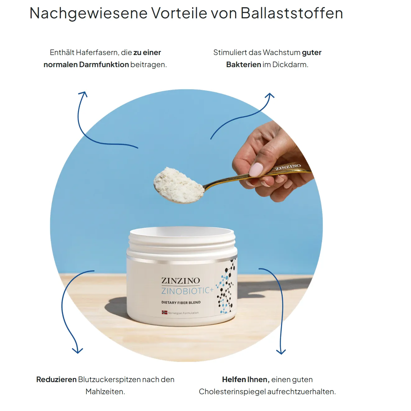 Nachgewiesene Vorteile von Ballaststoffen - ZinoBiotic+